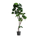 Искусственное растение FICUS 37727