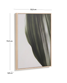 Фотография листа Foliae размер 52 x 72 см