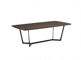 Обеденный стол ROSE 220x110 шпон эвкалипта/черный
