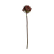 Искусственное растение ALLIUM