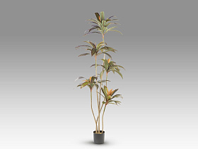 Dracena roja Искусственное растение H220