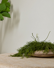 Кашпо Rivor из терракоты с натуральной отделкой Ø 50 см