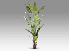 Palma viajero Искусственное растение H240