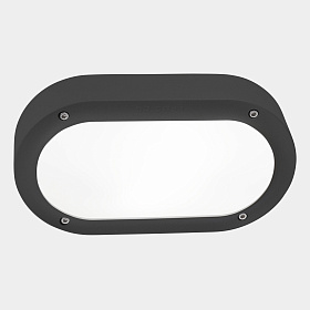 Уличный настенный светильник Basic Oval E27 15W IP66 Темно-серый