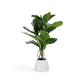 Flower Искусственное растение лирата 60 см