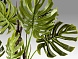 Monstera Искусственное растение H210