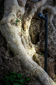 BROT 600 Светильник с черным колом LED 7W 2700K