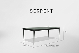 Стол обеденный Serpent CARBON 220x100