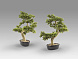 Bankan - bonsai 75cm Искусственное растение из 2 предметов