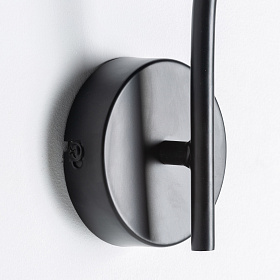 Настенный светильник DELLEAR