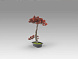 Bujin-hi bonsai 45cm набор из 2 предметов