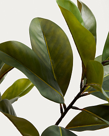 Искусственное растение Magnolia в белом горшке, 160 см