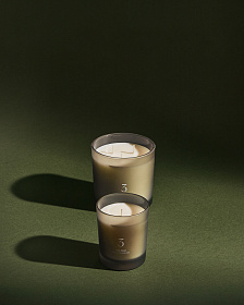 Ароматическая свеча Citrus Wave 170 г