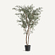Искусственное растение EUCALIPTUS 37734