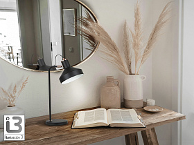 Irias Настольная лампа 1L черный-медный