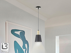 Gisela Подвесной светильник 1L черный матовый 