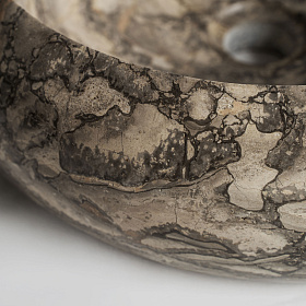 Раковина Iris