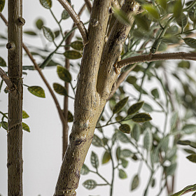 Искусственное растение OLIVO 37737