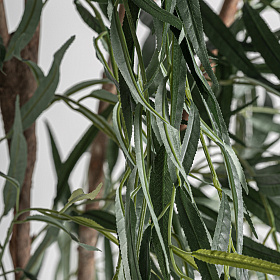 Искусственное растение SAUCE