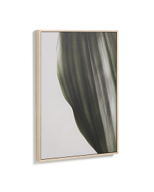 Фотография листа Foliae размер 52 x 72 см