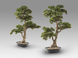Chokkan - bonsai 83cm Искусственное растение из 2 предметов