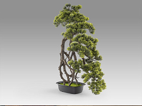Kengai bonsai 74CM Искусственное растение