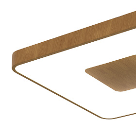 7918 Потолочный светильник COIN