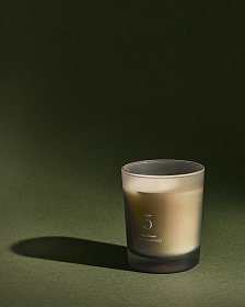 Ароматическая свеча Citrus Wave 170 г