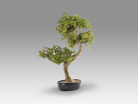 Bankan II bonsai 49cm Искусственное растение
