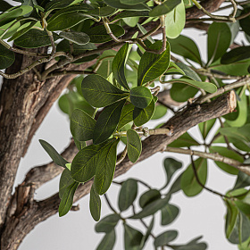 Искусственное растение FICUS 38083