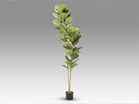 Higuera violin Искусственное растение H200