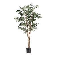 Искусственное растение FICUS 37730