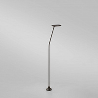 Уличный светильник Birdie B/110LC