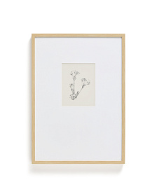 Картина Lirena с ботанической иллюстрацией 50 x 70 см