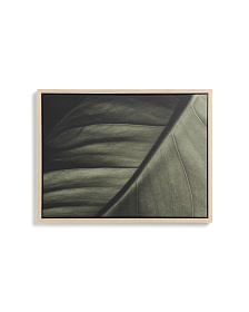 Фотография листа Foliae размер 32,5 x 42,5 см