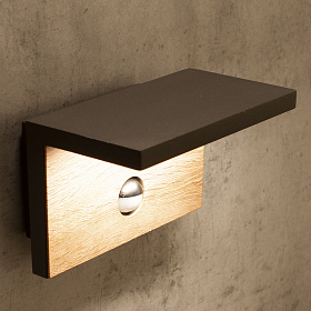 Настенный уличный светильник RUKA 6774