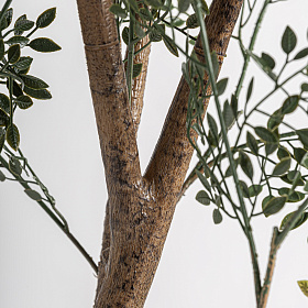 Искусственное растение Olive Plant 37734