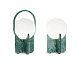 Настольная лампа Nonet 2095/015RG Green dimmable