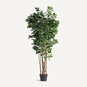 Искусственное растение ROBLE