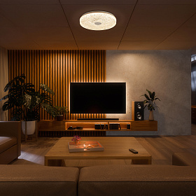 9182 Потолочный светильник FROZEN