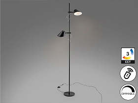 Esino Торшер 2L черный