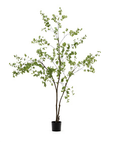 Enkianthus Искусственное дерево с черным горшком 214 см