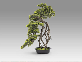 Kengai bonsai 74см Искусственное растение из 2 предметов