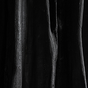 Скульптура KAINE