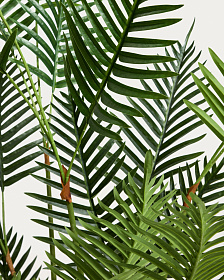 Искусственная пальма бабочка Flower 170 см