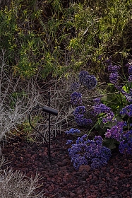 CLAP Прожектор уличный черный LED 6W 3000K 24°