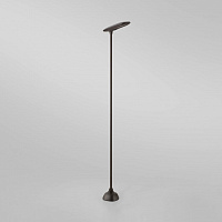 Уличный светильник Birdie B/100L