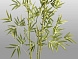 Bambu Искусственное растение H170