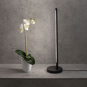 Настольная лампа  MANTRA TORCH 6738