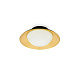 Плафон Side G9 золотой
